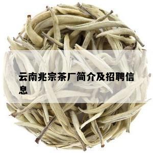 云南兆宗茶厂简介及招聘信息