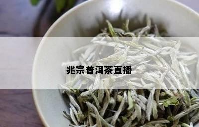 兆宗普洱茶直播