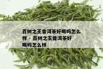 百树之王普洱茶好喝吗怎么样 - 百树之王普洱茶好喝吗怎么样