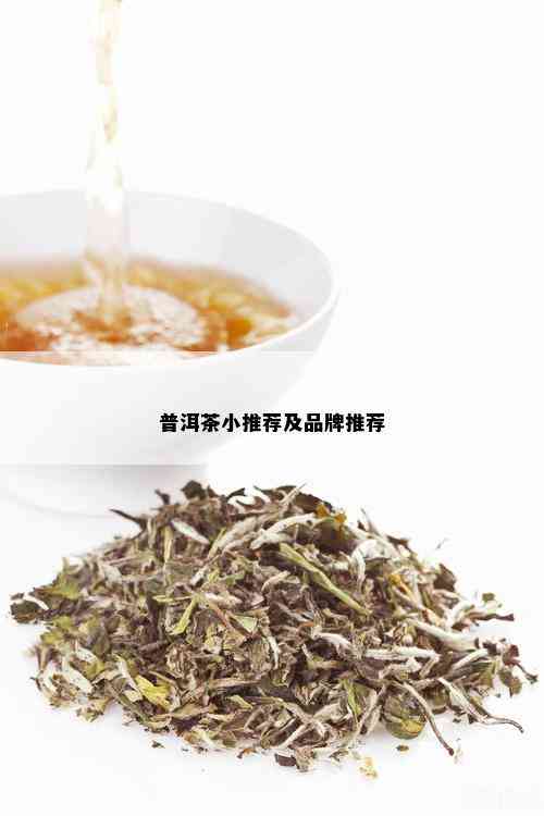 普洱茶小推荐及品牌推荐