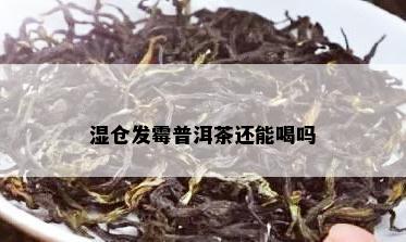 湿仓发霉普洱茶还能喝吗