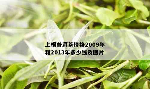 上根普洱茶价格2009年和2013年多少钱及图片