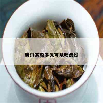 普洱茶放多久可以喝更好