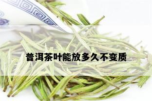 普洱茶叶能放多久不变质