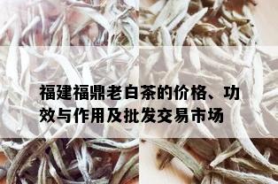 福建福鼎老白茶的价格、功效与作用及批发交易市场