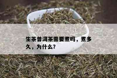 生茶普洱茶需要煮吗，煮多久，为什么？