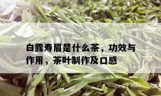 白露寿眉是什么茶，功效与作用，茶叶制作及口感