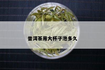 普洱茶用大杯子泡多久