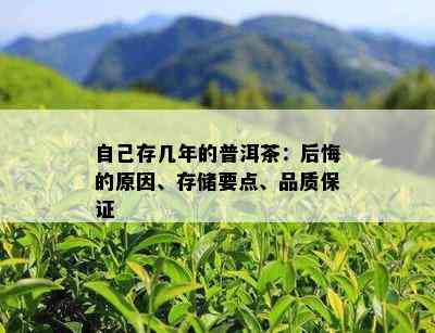 自己存几年的普洱茶：后悔的原因、存储要点、品质保证