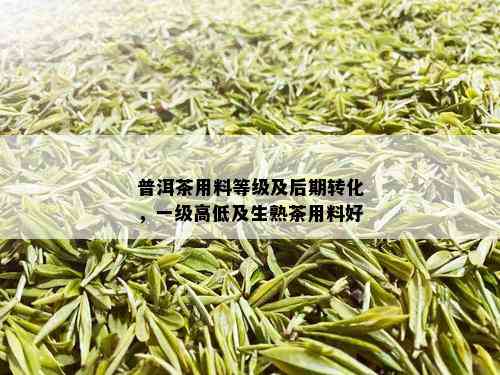 普洱茶用料等级及后期转化，一级高低及生熟茶用料好