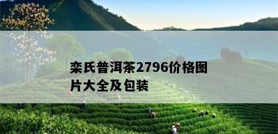 栾氏普洱茶2796价格图片大全及包装