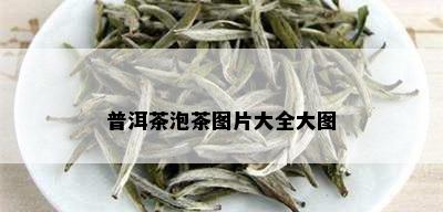 普洱茶泡茶图片大全大图