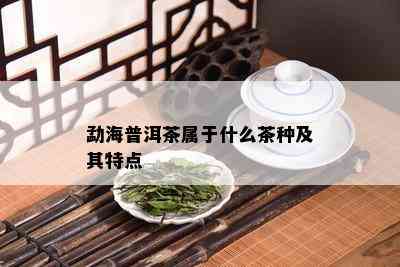 勐海普洱茶属于什么茶种及其特点