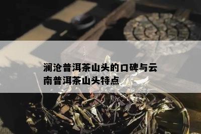 澜沧普洱茶山头的口碑与云南普洱茶山头特点