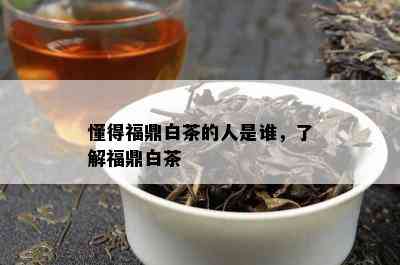 懂得福鼎白茶的人是谁，了解福鼎白茶