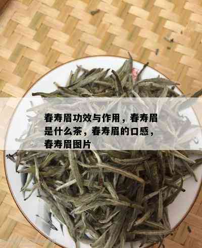 春寿眉功效与作用，春寿眉是什么茶，春寿眉的口感，春寿眉图片