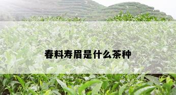 春料寿眉是什么茶种