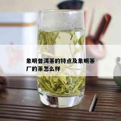 象明普洱茶的特点及象明茶厂的茶怎么样