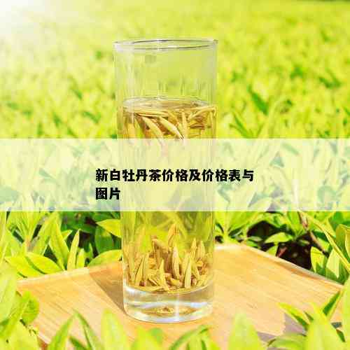 新白牡丹茶价格及价格表与图片