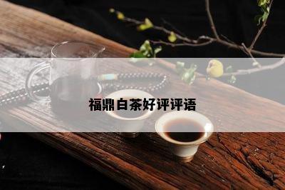 福鼎白茶好评评语