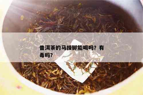 普洱茶的马蹄脚能喝吗？有吗？