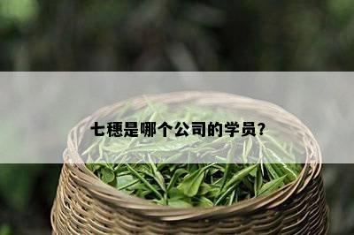 七穗是哪个公司的学员？