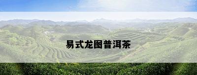 易式龙图普洱茶