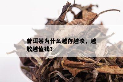 普洱茶为什么越存越淡，越放越值钱？