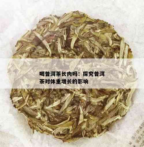 喝普洱茶长肉吗：探究普洱茶对体重增长的影响