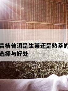 青桔普洱是生茶还是熟茶的选择与好处