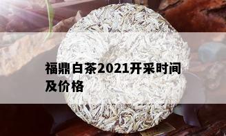 福鼎白茶2021开采时间及价格