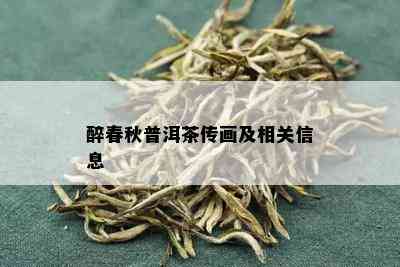 醉春秋普洱茶传画及相关信息