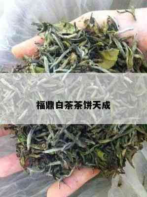 福鼎白茶茶饼天成