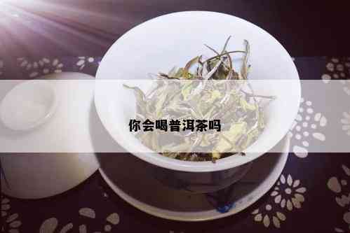 你会喝普洱茶吗