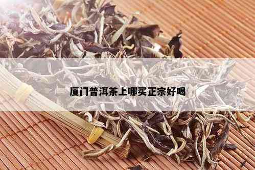 厦门普洱茶上哪买正宗好喝