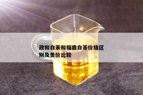 政和白茶和福鼎白茶价格区别及贵价比较