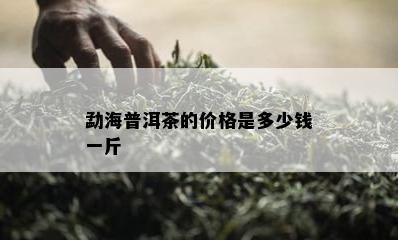 勐海普洱茶的价格是多少钱一斤