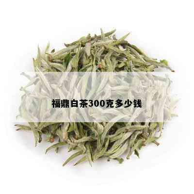 福鼎白茶300克多少钱