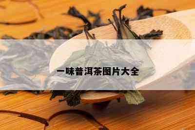 一味普洱茶图片大全