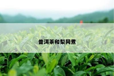 普洱茶和梨同煮