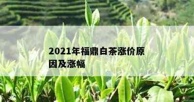 2021年福鼎白茶涨价原因及涨幅