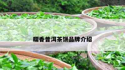 糯香普洱茶饼品牌介绍