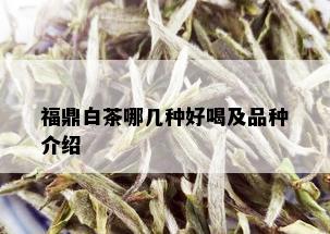 福鼎白茶哪几种好喝及品种介绍