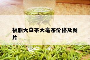 福鼎大白茶大毫茶价格及图片