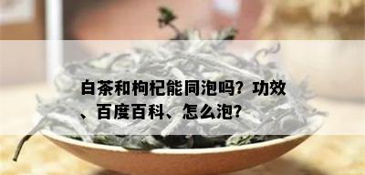 白茶和枸杞能同泡吗？功效、百度百科、怎么泡？