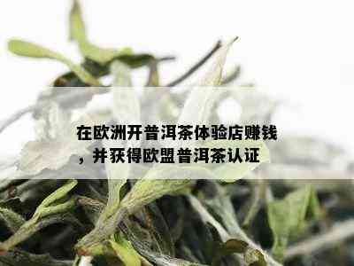 在欧洲开普洱茶体验店赚钱，并获得欧盟普洱茶认证