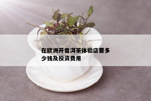 在欧洲开普洱茶体验店要多少钱及投资费用