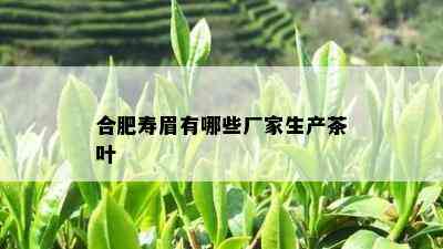 合肥寿眉有哪些厂家生产茶叶