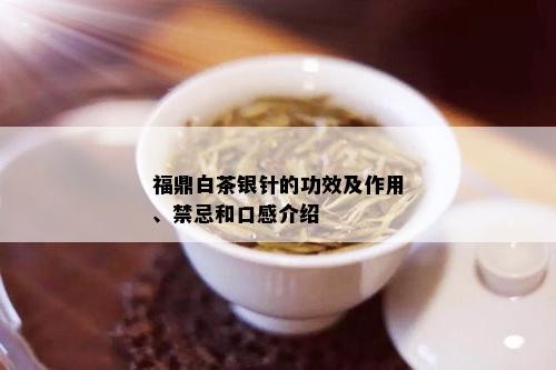 福鼎白茶银针的功效及作用、禁忌和口感介绍