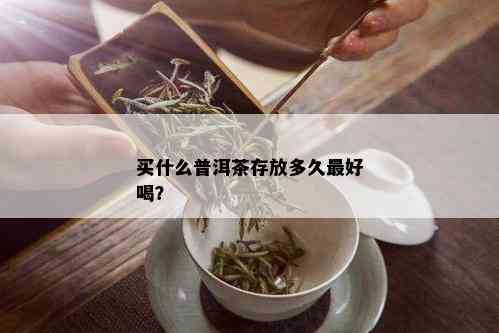 买什么普洱茶存放多久更好喝？